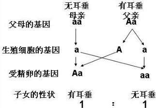 人口问题图表问题表现_在线求指导 下面图表说明(3)