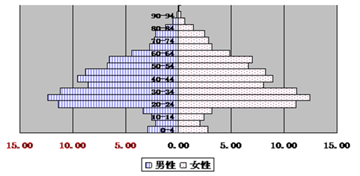 南岗人口构成比例图_日本薪酬料迎17年来最大增幅,因人口老化引发用工荒