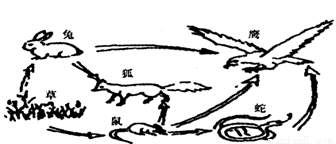 yjs00026107.png