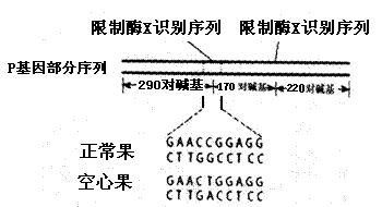 iat00017259.png