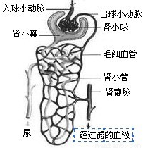 yjs00013134.png